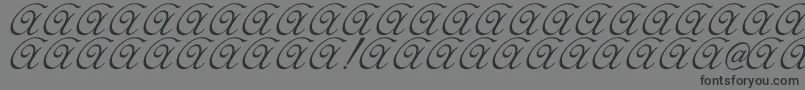 Elzevir-Schriftart – Schwarze Schriften auf grauem Hintergrund