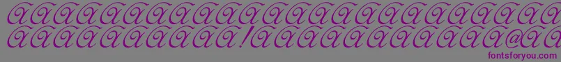 Elzevir-fontti – violetit fontit harmaalla taustalla