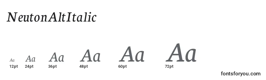 Размеры шрифта NeutonAltItalic