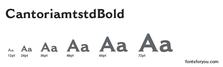 CantoriamtstdBold Font Sizes