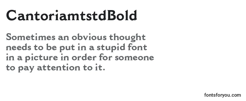 Review of the CantoriamtstdBold Font