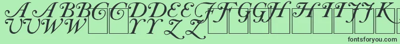 CaslonInitials Font – Black Fonts on Green Background