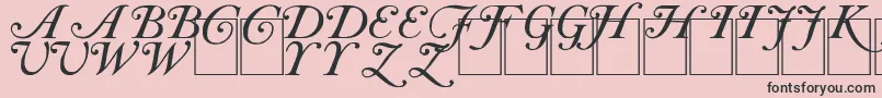 CaslonInitials-Schriftart – Schwarze Schriften auf rosa Hintergrund