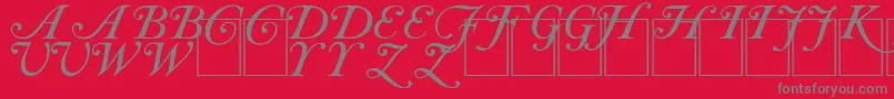 CaslonInitials-Schriftart – Graue Schriften auf rotem Hintergrund