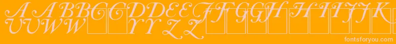 CaslonInitials Font – Pink Fonts on Orange Background