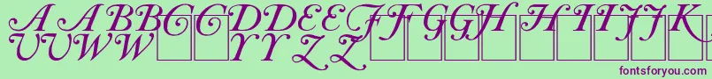 CaslonInitials Font – Purple Fonts on Green Background