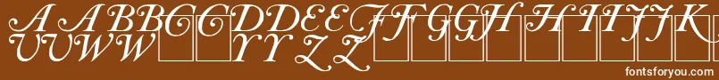 CaslonInitials Font – White Fonts on Brown Background