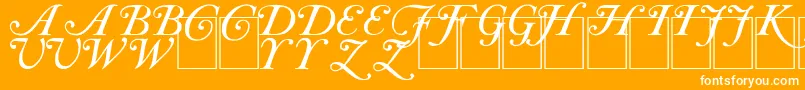 CaslonInitials-Schriftart – Weiße Schriften auf orangefarbenem Hintergrund