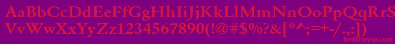 Whittiedmediume Font – Red Fonts on Purple Background