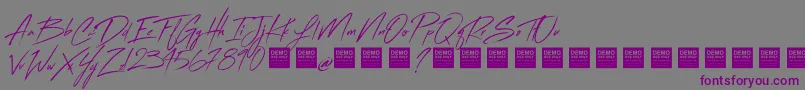 FlashBackDemo Font – Purple Fonts on Gray Background