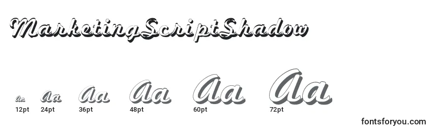 MarketingScriptShadow Font Sizes