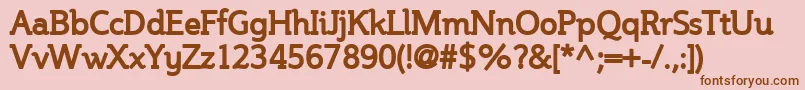 Steinemb Font – Brown Fonts on Pink Background