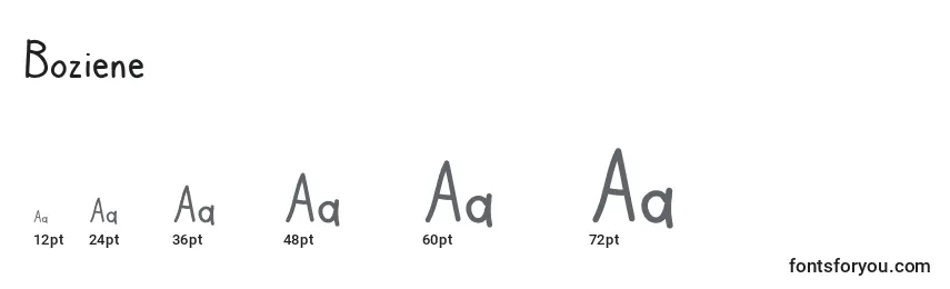 Размеры шрифта Boziene