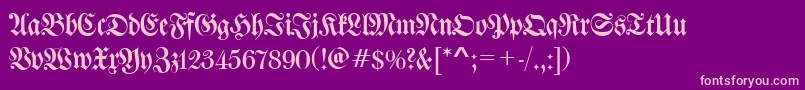 WalbaumFrakturRegular-Schriftart – Rosa Schriften auf violettem Hintergrund