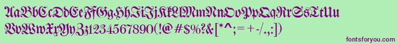 WalbaumFrakturRegular Font – Purple Fonts on Green Background