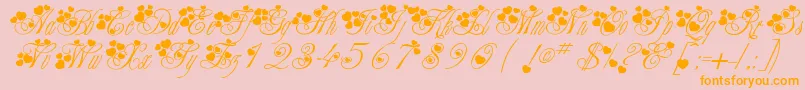 Fancyheartscript Font – Orange Fonts on Pink Background