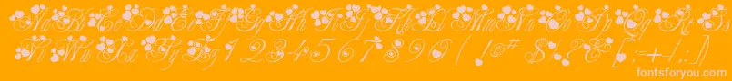 Weitere Informationen zur Fancyheartscript-Schriftart Fancyheartscript-Schriftart – Rosa Schriften auf orangefarbenem Hintergrund