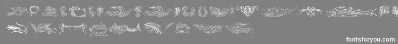 Aprendizcaligrafico Font – White Fonts on Gray Background