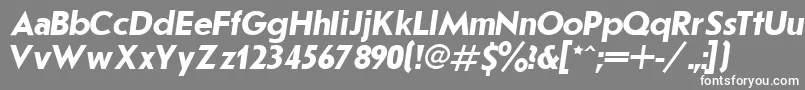 JournalSansserifBoldItalic.001.001 Font – White Fonts on Gray Background