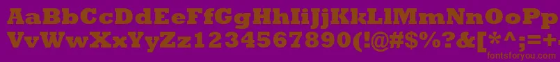 RockwellMtExtraBold Font – Brown Fonts on Purple Background