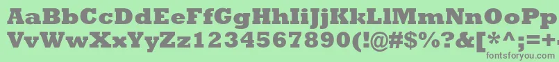 RockwellMtExtraBold Font – Gray Fonts on Green Background