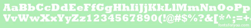RockwellMtExtraBold Font – White Fonts on Green Background