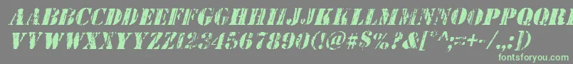 Wetworksital-Schriftart – Grüne Schriften auf grauem Hintergrund
