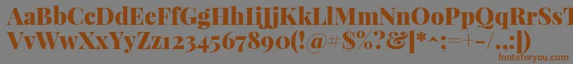 PlayfairdisplayBlack Font – Brown Fonts on Gray Background