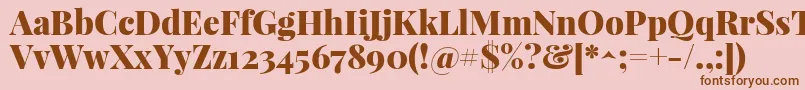 PlayfairdisplayBlack Font – Brown Fonts on Pink Background