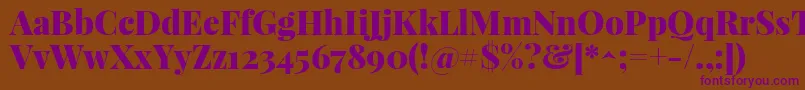 PlayfairdisplayBlack Font – Purple Fonts on Brown Background