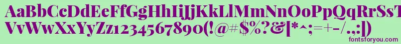 PlayfairdisplayBlack Font – Purple Fonts on Green Background