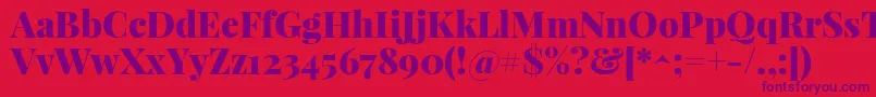 PlayfairdisplayBlack Font – Purple Fonts on Red Background