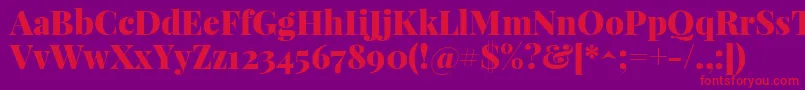 PlayfairdisplayBlack Font – Red Fonts on Purple Background