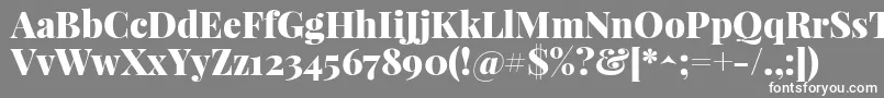 フォントPlayfairdisplayBlack – 灰色の背景に白い文字