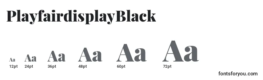 Размеры шрифта PlayfairdisplayBlack