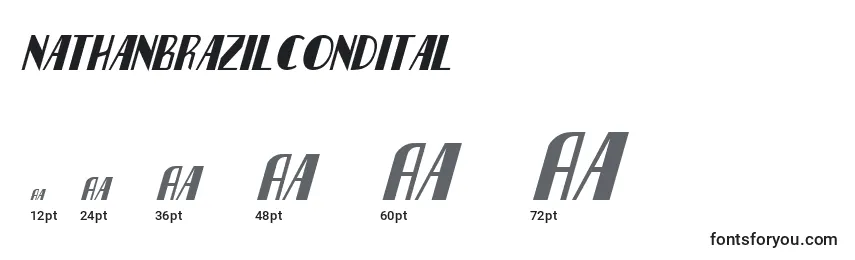 Nathanbrazilcondital Font Sizes