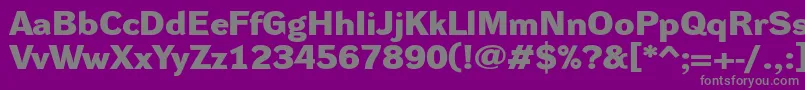 DynagroteskdxeBold Font – Gray Fonts on Purple Background
