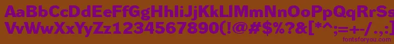 DynagroteskdxeBold Font – Purple Fonts on Brown Background