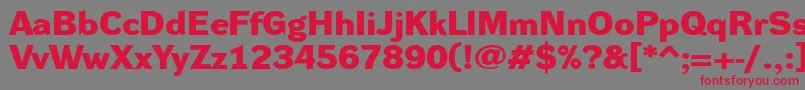 DynagroteskdxeBold Font – Red Fonts on Gray Background
