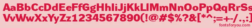 DynagroteskdxeBold Font – Red Fonts on Pink Background
