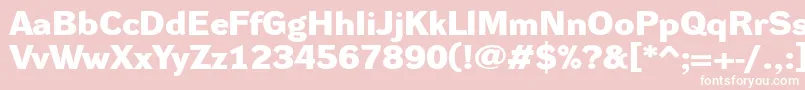 DynagroteskdxeBold Font – White Fonts on Pink Background