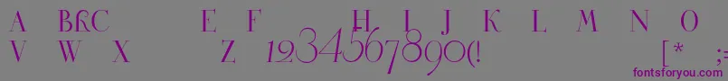 Petrovskyonec Font – Purple Fonts on Gray Background