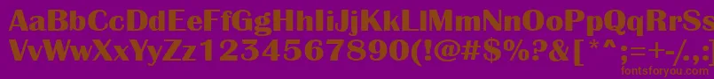 AAlbionicexpBold Font – Brown Fonts on Purple Background