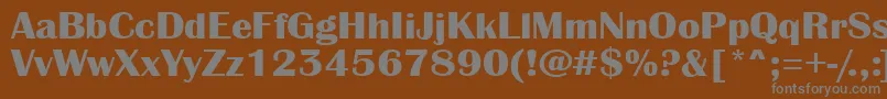 フォントAAlbionicexpBold – 茶色の背景に灰色の文字