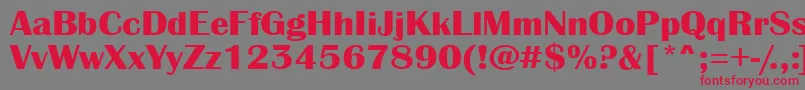 AAlbionicexpBold Font – Red Fonts on Gray Background