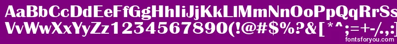 フォントAAlbionicexpBold – 紫の背景に白い文字