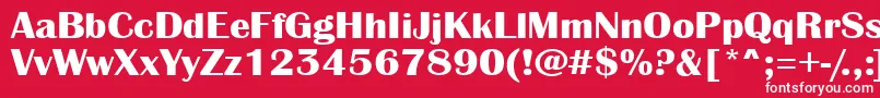 フォントAAlbionicexpBold – 赤い背景に白い文字