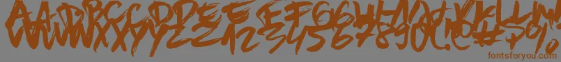Więcej informacji o czcionce BrownFox Czcionka BrownFox – brązowe czcionki na szarym tle