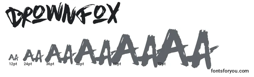 BrownFox Font Sizes