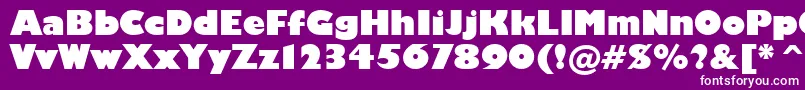 Humanist521UltraBoldBt Font – White Fonts on Purple Background